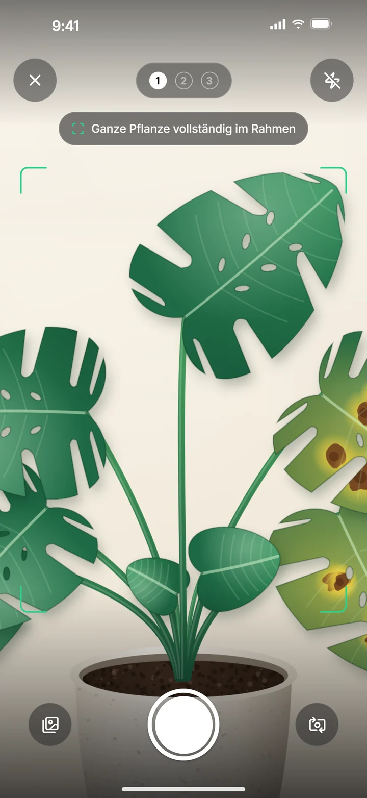 PlantDoctor: Geführte Kamera für drei Pflanzenfotos