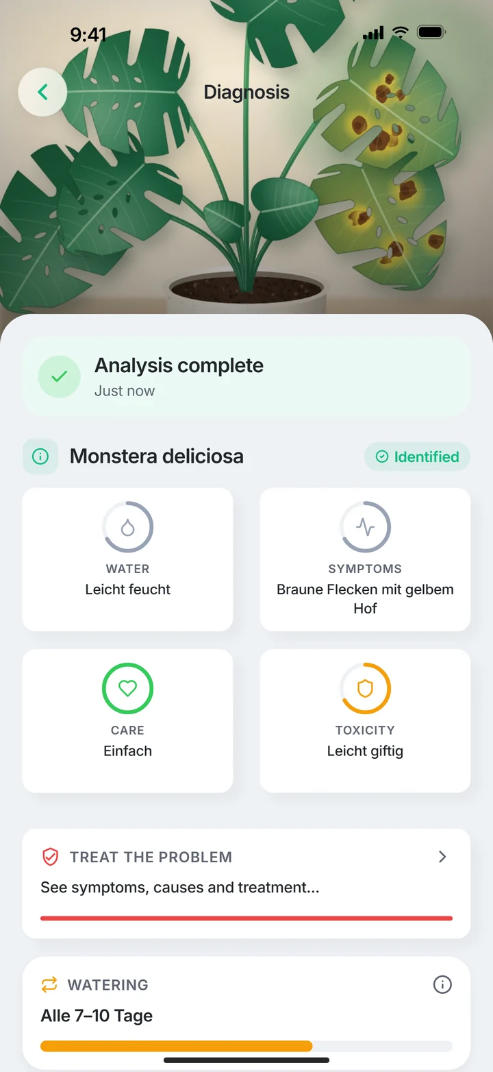 PlantDoctor: Analysis showing water, symptoms, care and toxicity