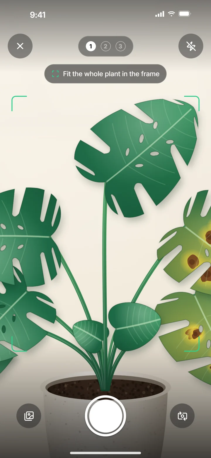 PlantDoctor: Guided camera for three plant photos